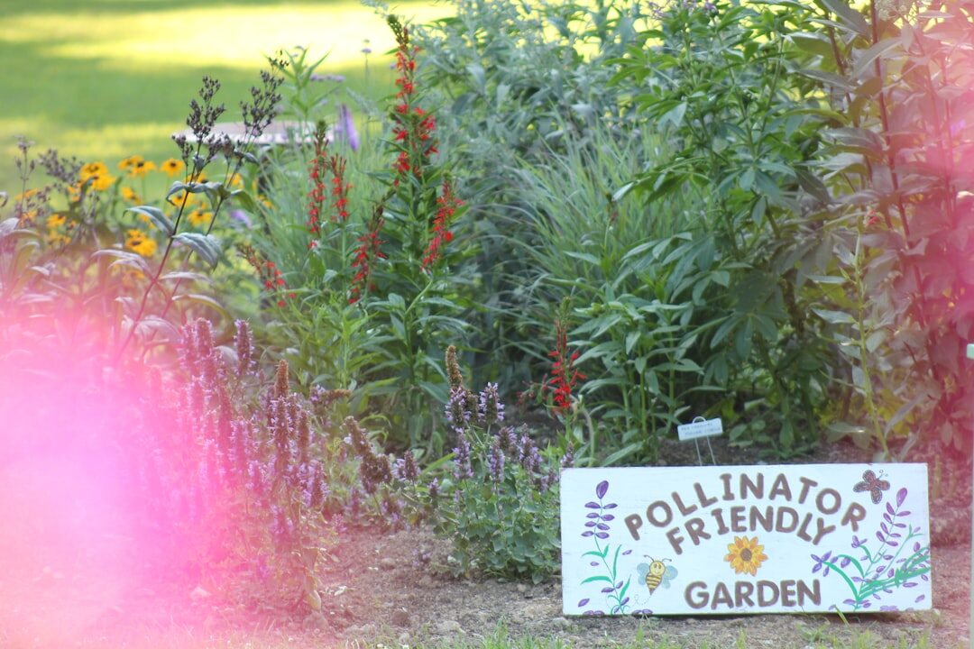 sustainable ecological garden