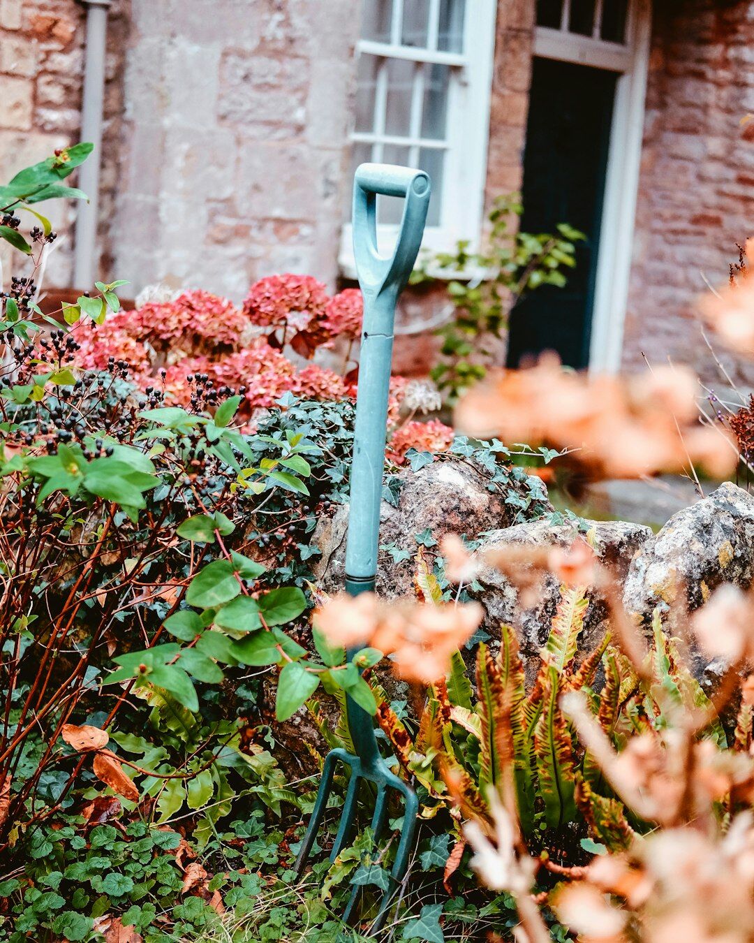 autumn garden raking leaves