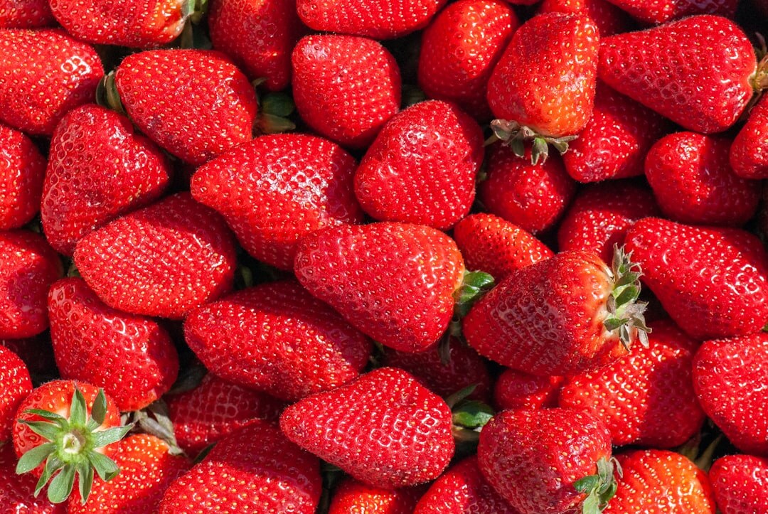 fresh picked strawberries