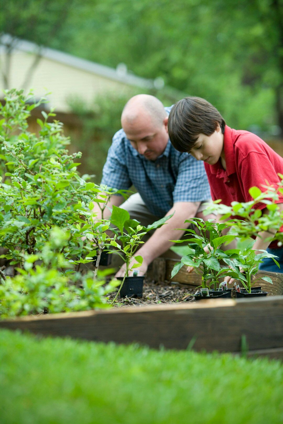 family gardening together
