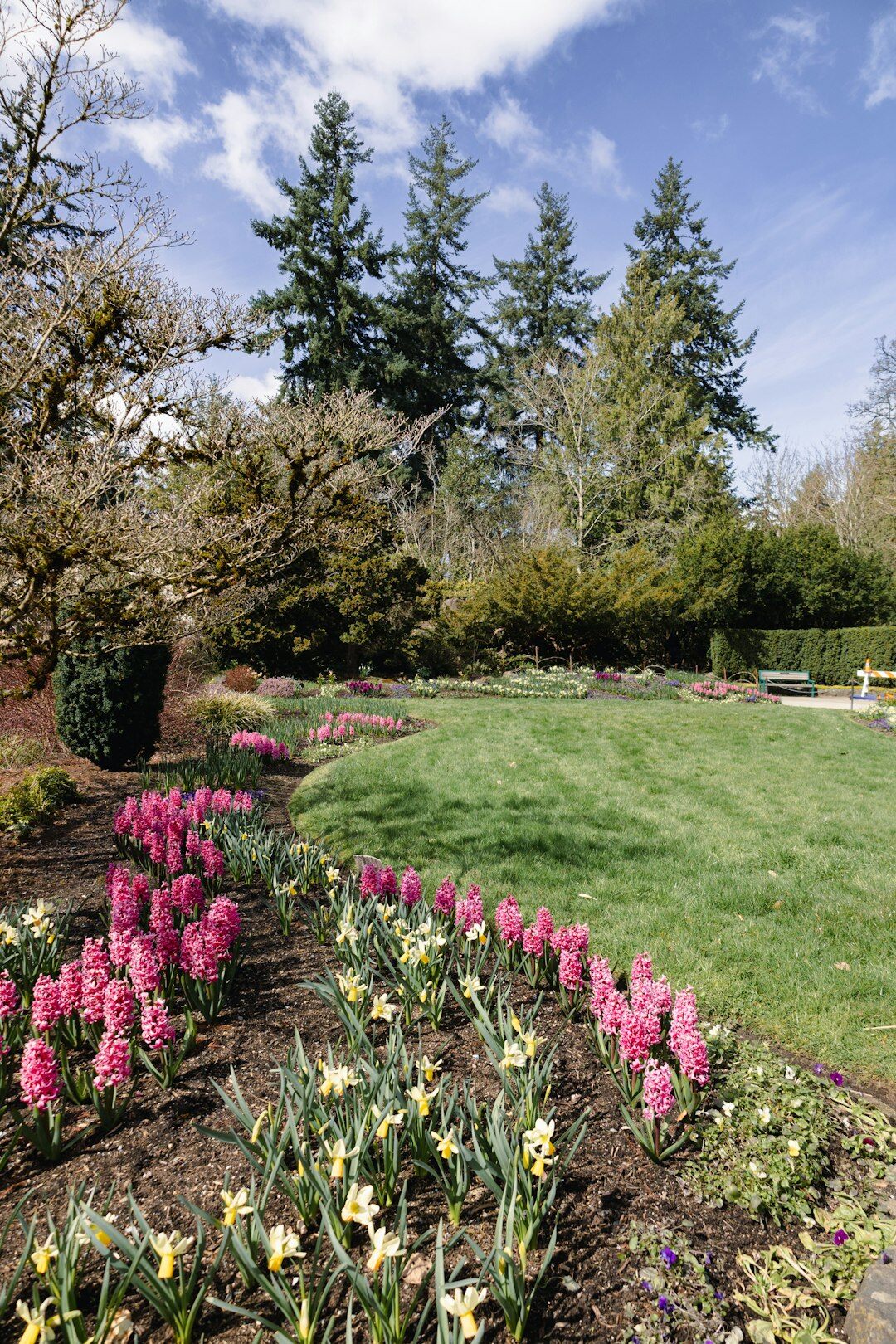 mulching garden beds