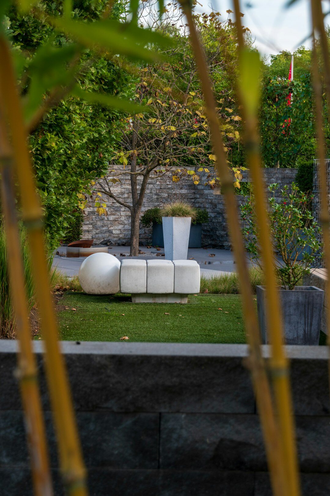 wildflowers in modern garden